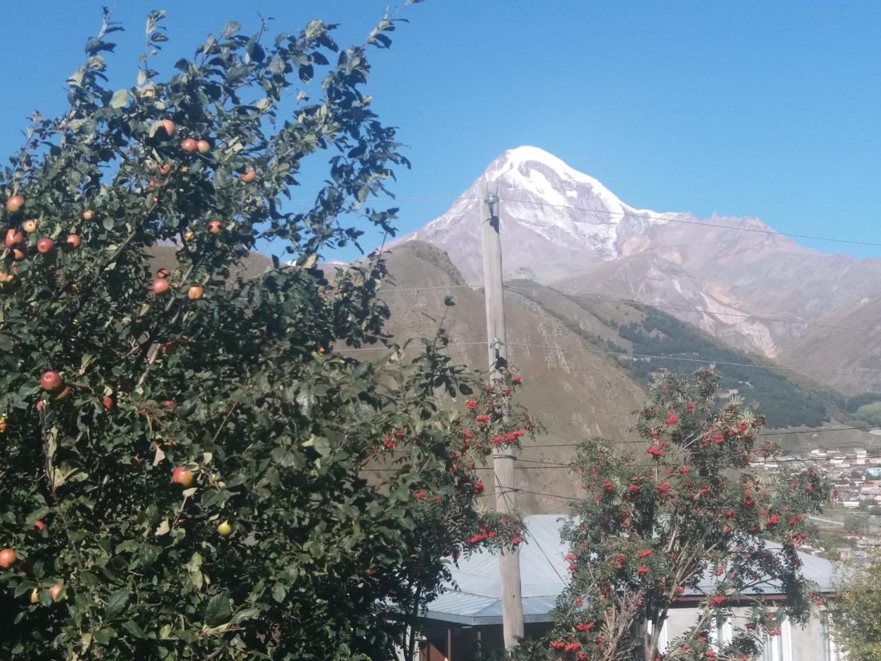 Guest House Sandro Kazbegi Bagian luar foto